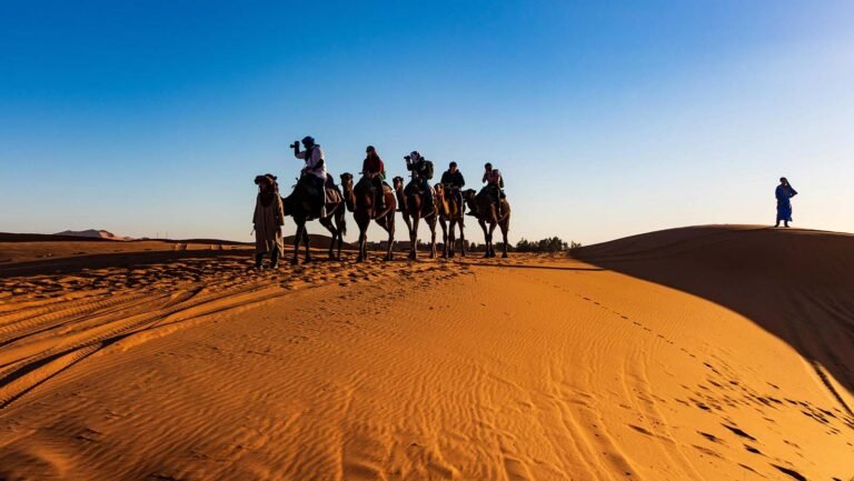 Camel Trekking in Erg Chebbi Desert