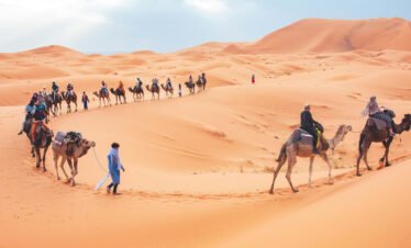 Camel Trekking in Erg Chebbi Dunes