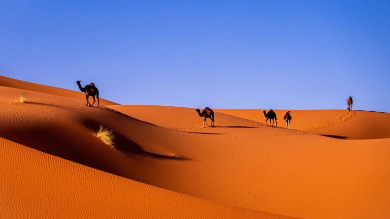 Merzouga Desert Camp – Morocco Desert Tour