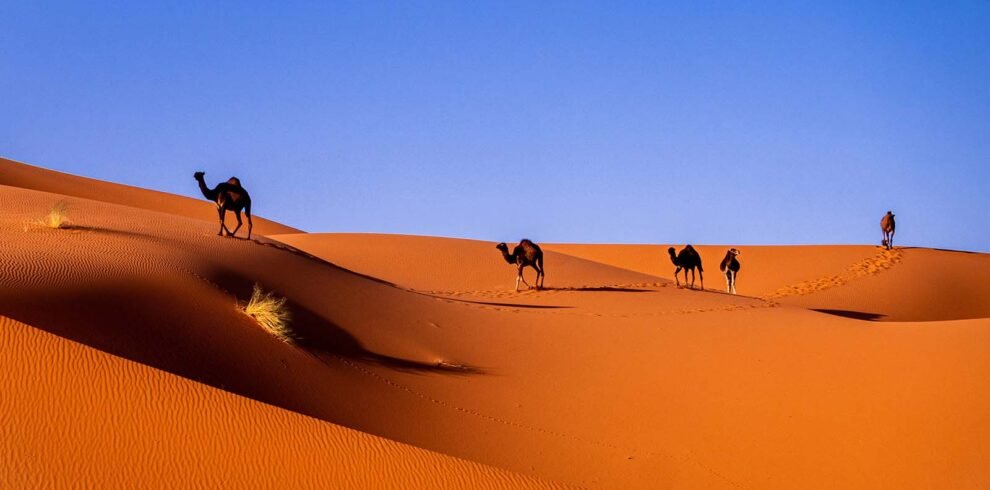 Merzouga Desert Camp – Morocco Desert Tour